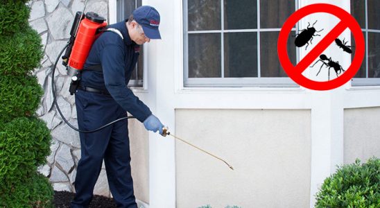 Tarsus Böcek İlaçlama böcek ilaçlama ve haşere kontrolü — ilaclama-tr.com